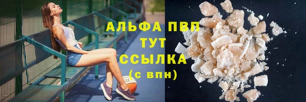 гашик Верея