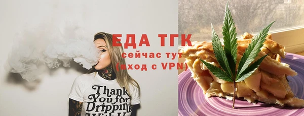 гашик Верея