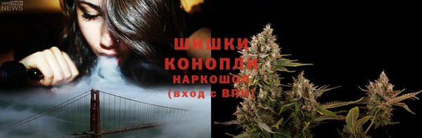 гашик Верея