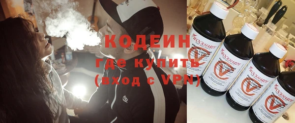 гашик Верея