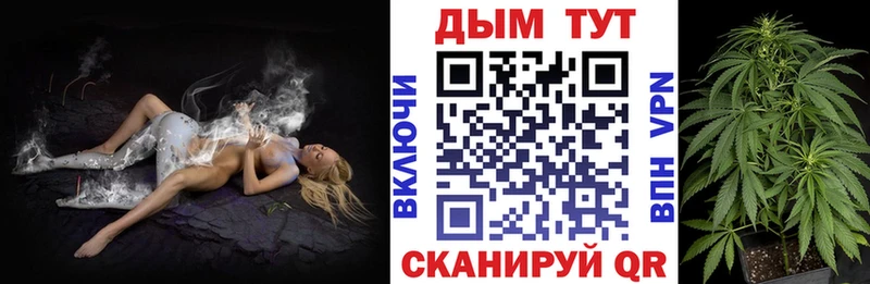 Бошки Шишки гибрид  Лихославль 
